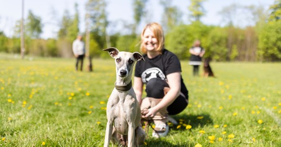 Whippet som tittar in i kameran. Matte sitter bakom, tittar på hunden och ler.
