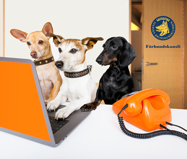 Kontakt SBK förbundskansli