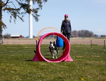 BC tränar hoopers