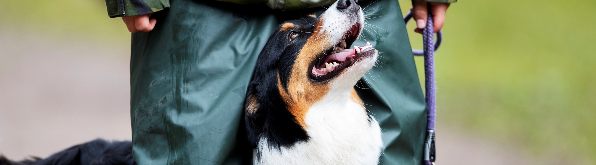 Fotograf: Nils-Petter Nilsson