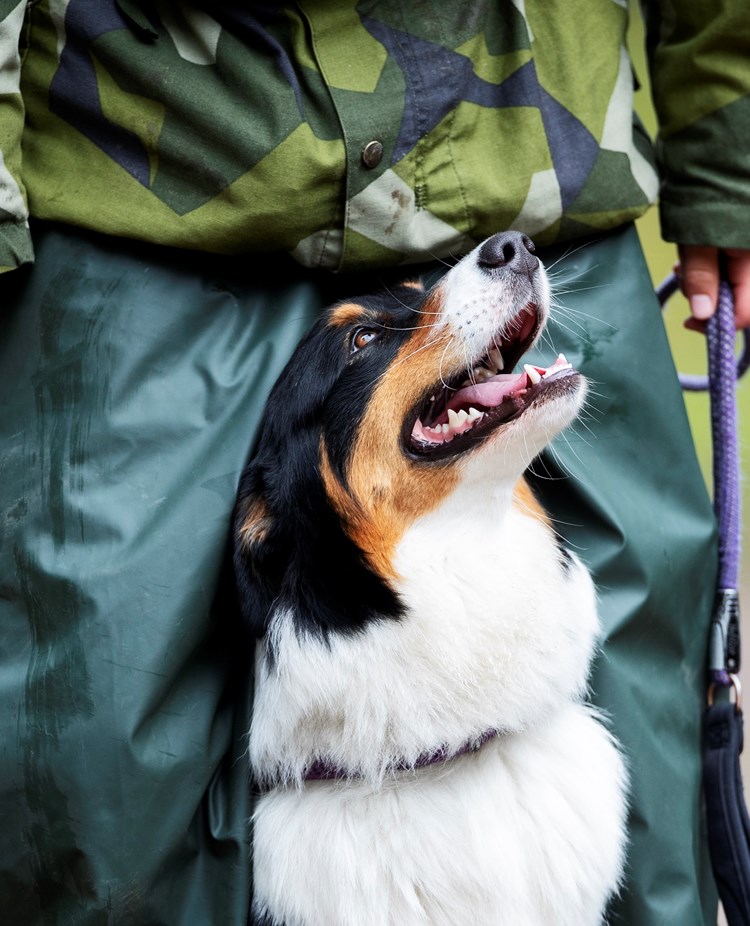 Fotograf: Nils-Petter Nilsson