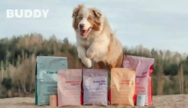 Hund hundfoder reklam