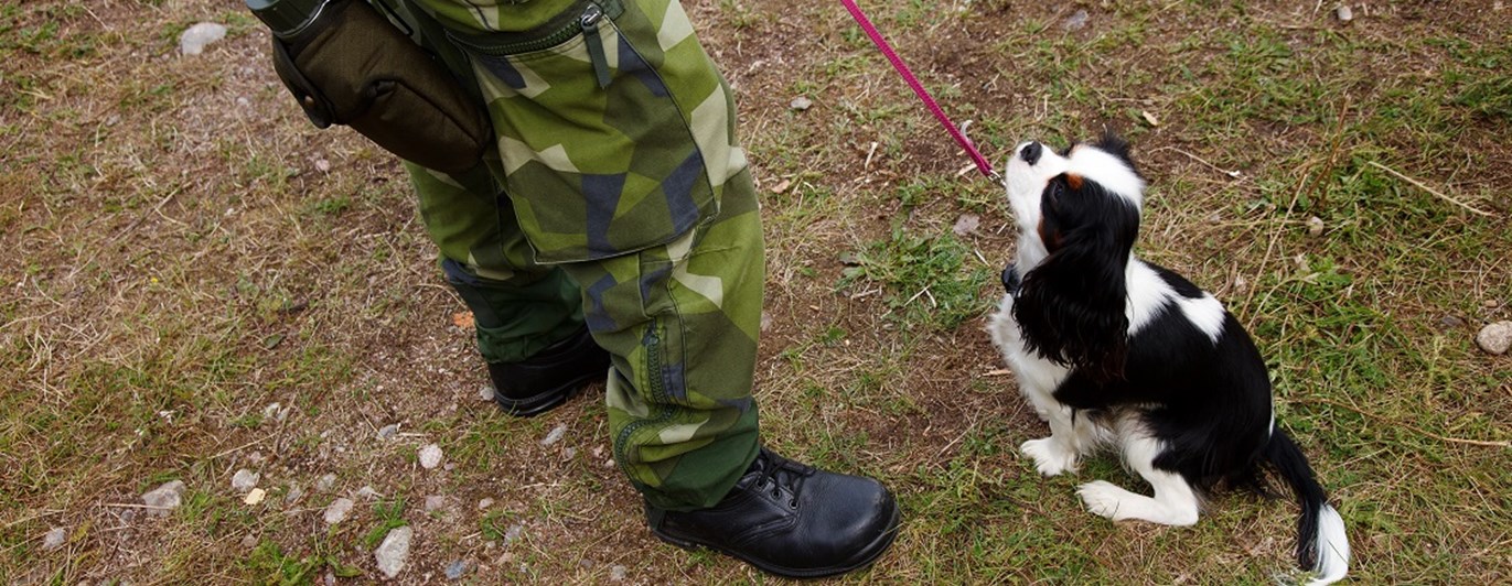 Fotograf: Magnus Fröderberg