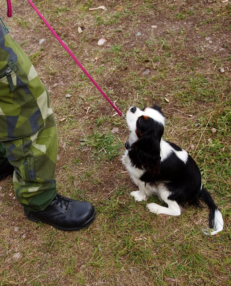 Fotograf: Magnus Fröderberg