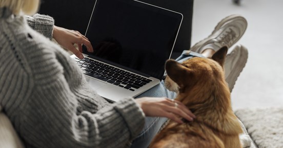 Hund och människa som tittar på en dator.
