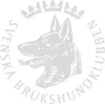 SBK logotype grå