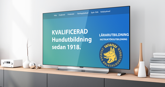 sbkutbildning skärm