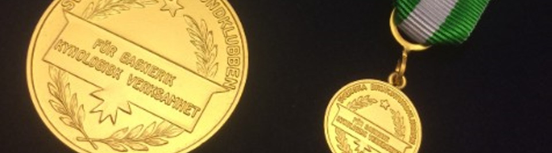 Svenska Brukshundklubbens förtjänstmedalj