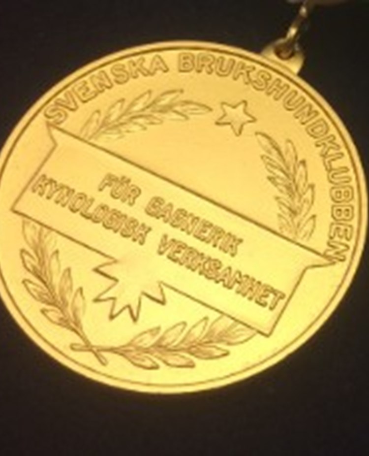 Svenska Brukshundklubbens förtjänstmedalj